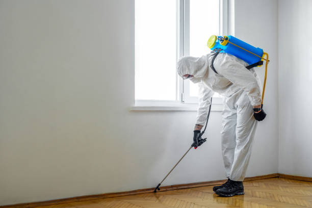Flea Control Services in Suncrest, WA
