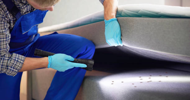 Pest Control for Restaurants in Suncrest, WA