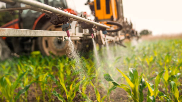  Suncrest, WA Pest Control Pros